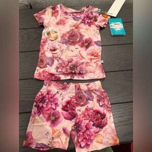 NWT Posh Peanut pink floral 2 piece set made from Päpook® viscose bamboo Sz 12M